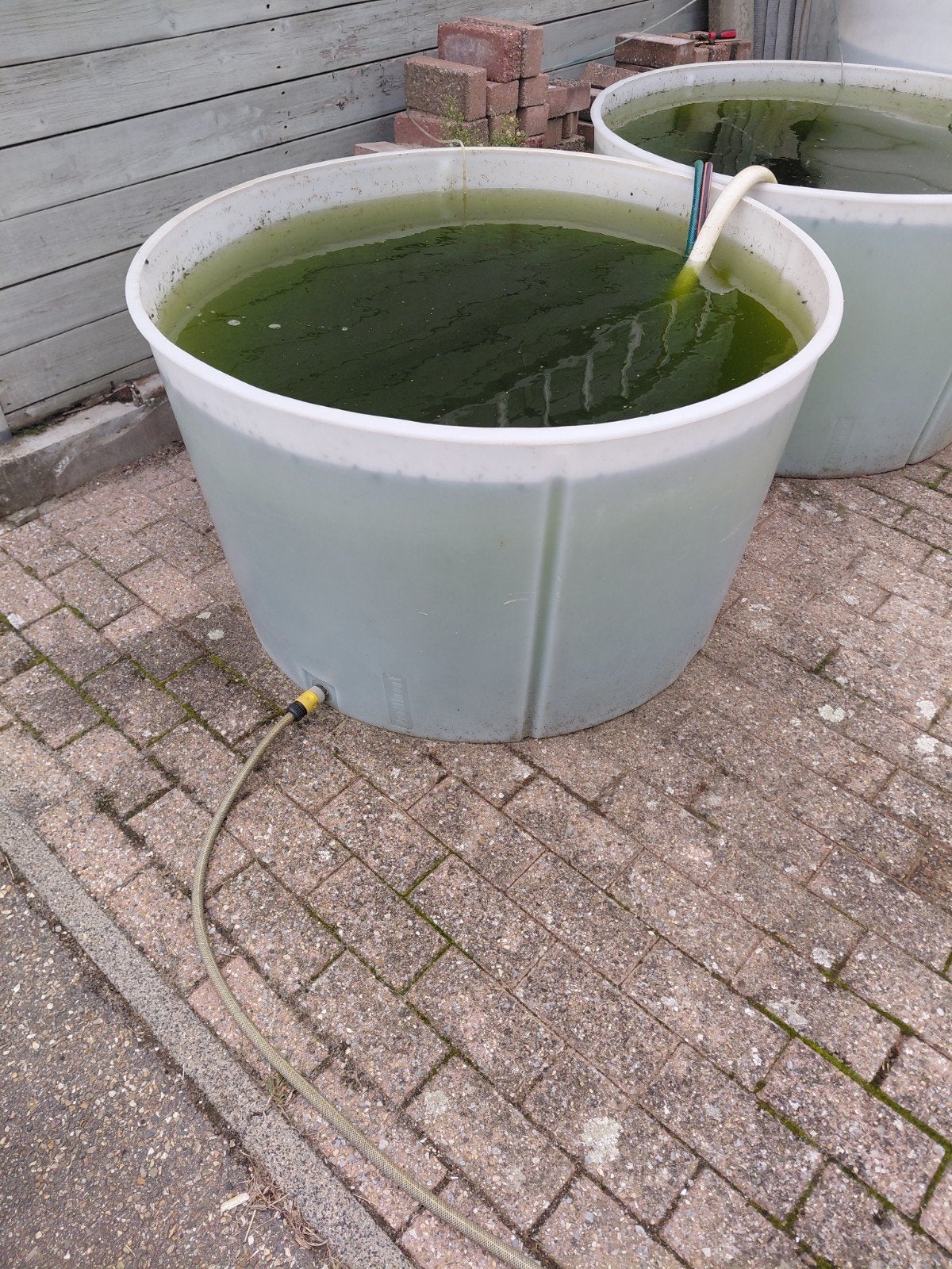 quarantaine bak, Dieren en Toebehoren