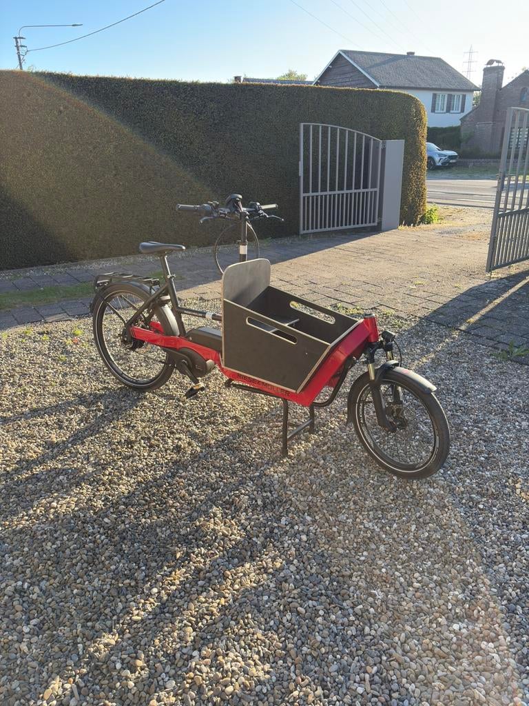 Riese&muller pacher, Fietsen en Brommers, Ophalen