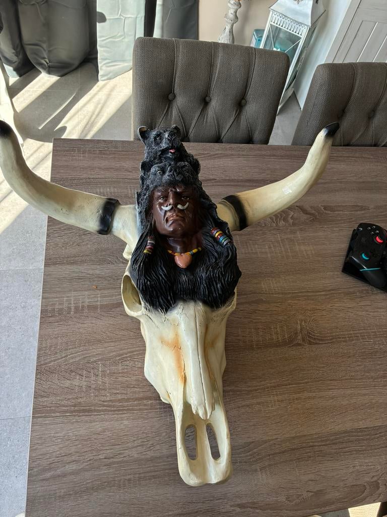 Leuke decoratie buffelschedel met hoorns,, Ophalen, Gebruikt