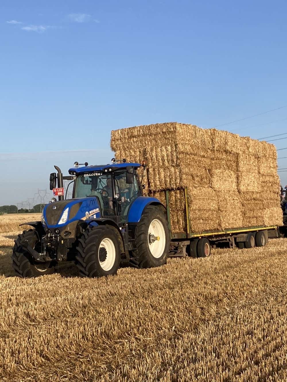 Wagon à paille, Articles professionnels, Enlèvement ou Envoi