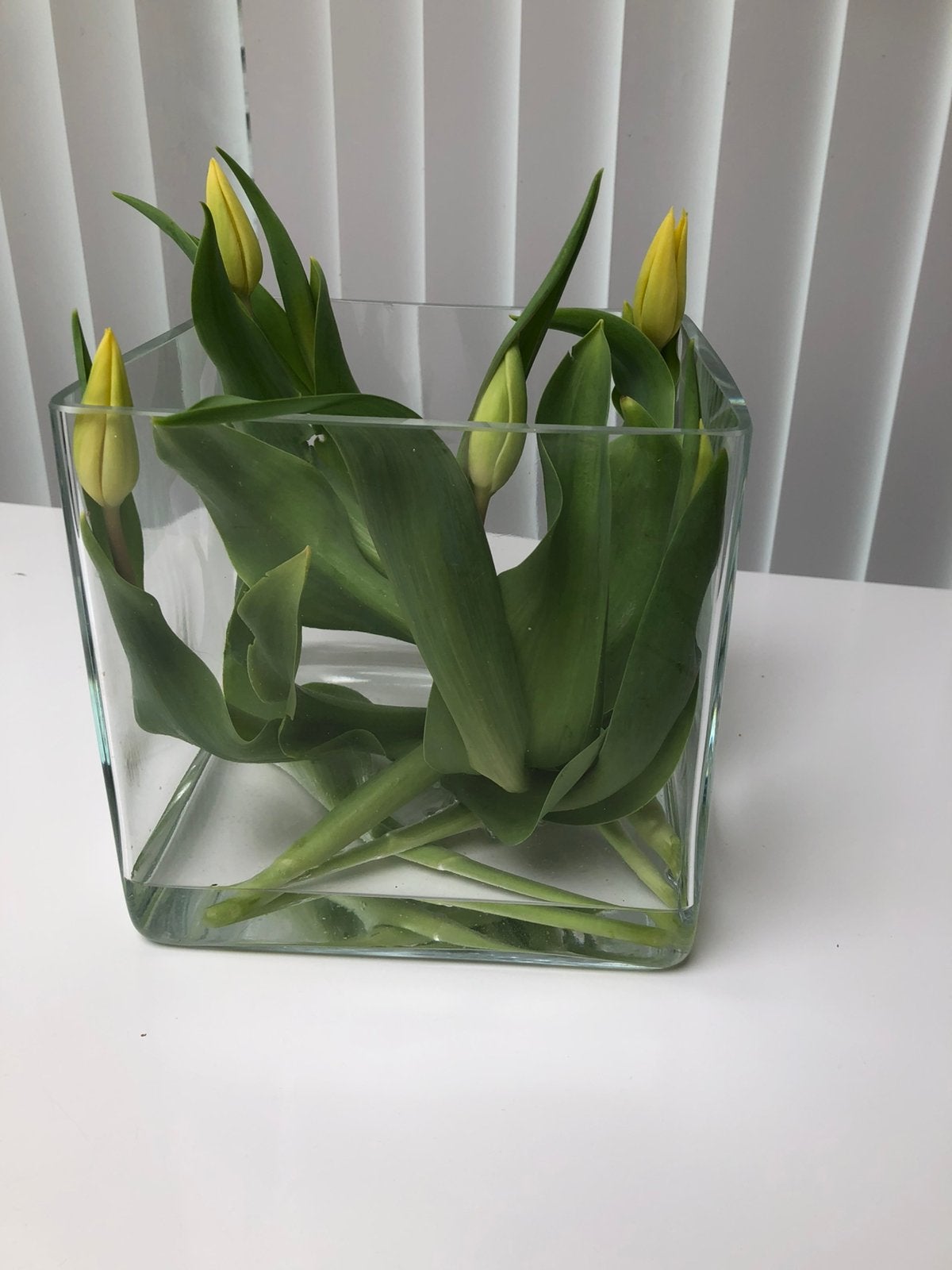 Glazen vierkante vaas, Ophalen, Zo goed als nieuw, Transparant, Glas