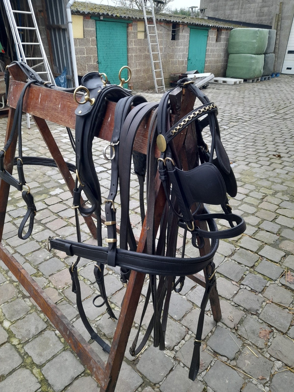 Mooi lederen enkel span tuig maat ful, Ophalen