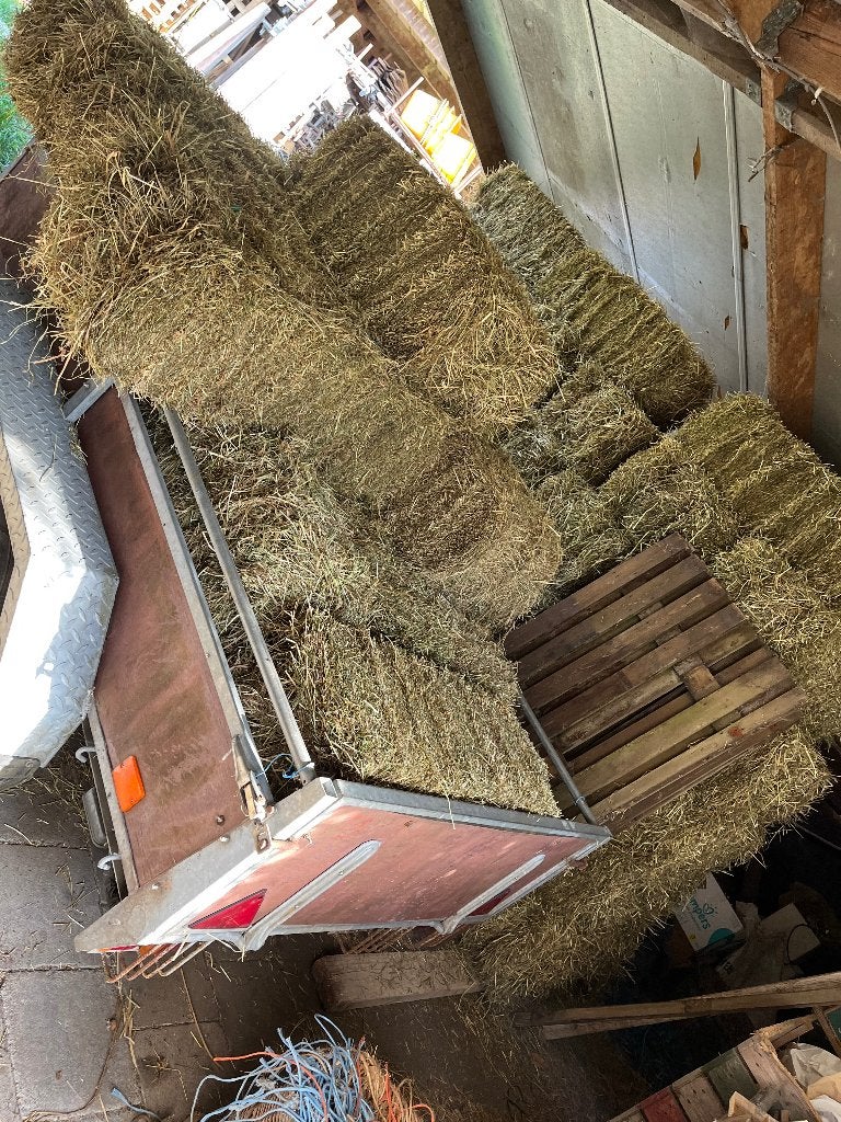 Kleine pakjes hooi regio  Kalmthout, Ophalen