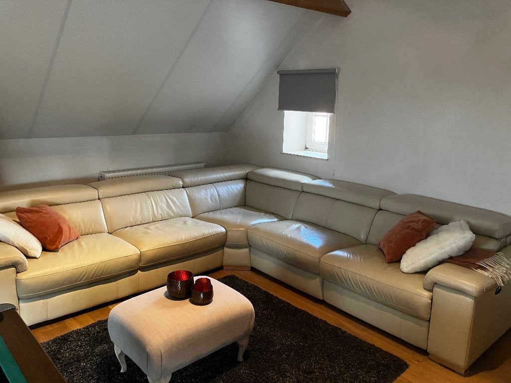 Lederen hoeksalon, Ophalen, Gebruikt, Leer