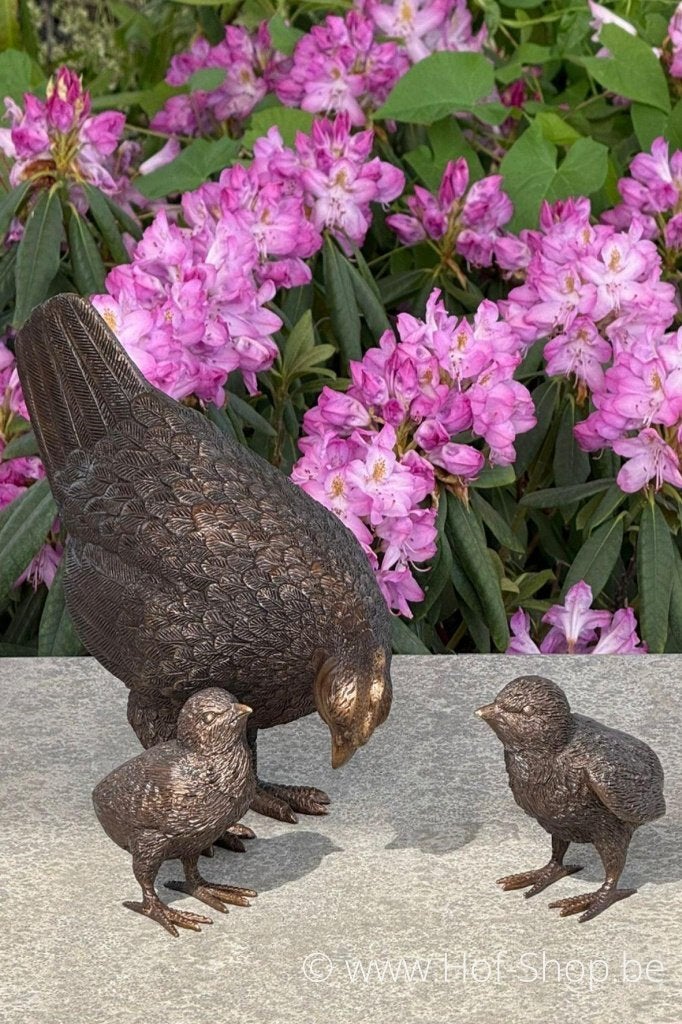 Kip met kuikens - bronzen beeld, Ophalen of Verzenden, Brons
