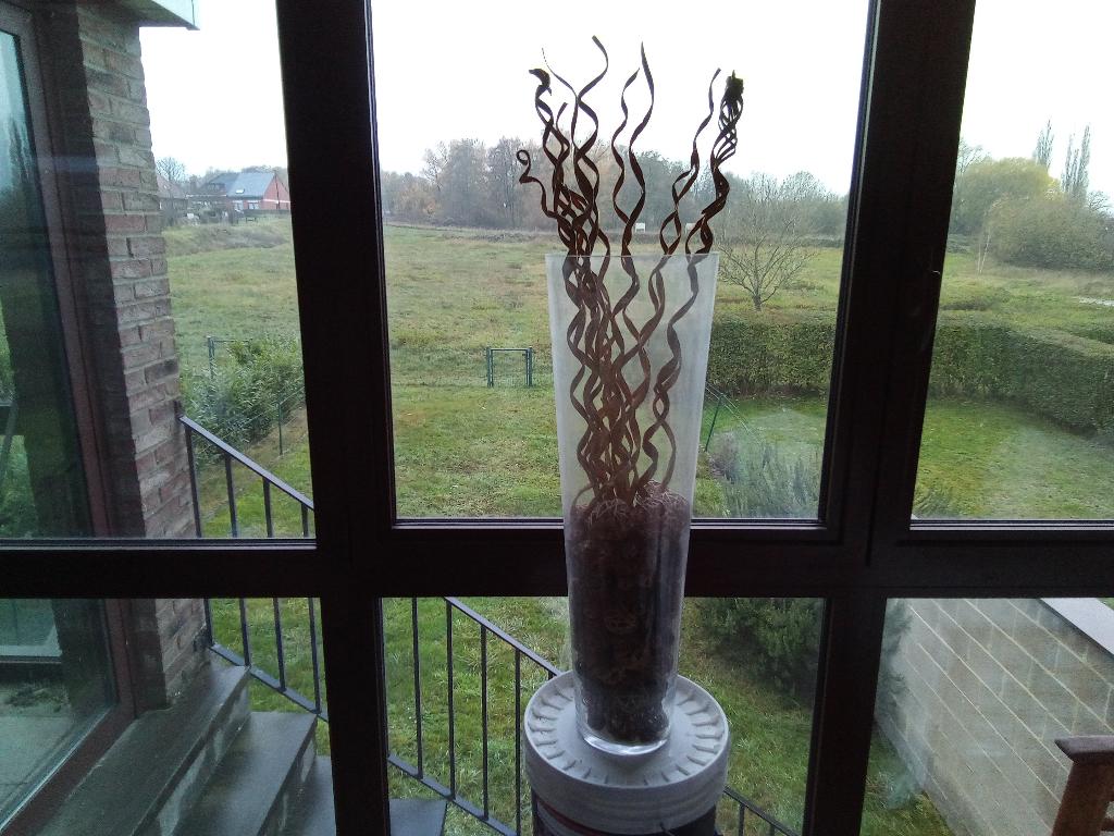 Vase de décoration en verre avec branches sechées., Enlèvement, Comme neuf, Verre, 50 à 75 cm