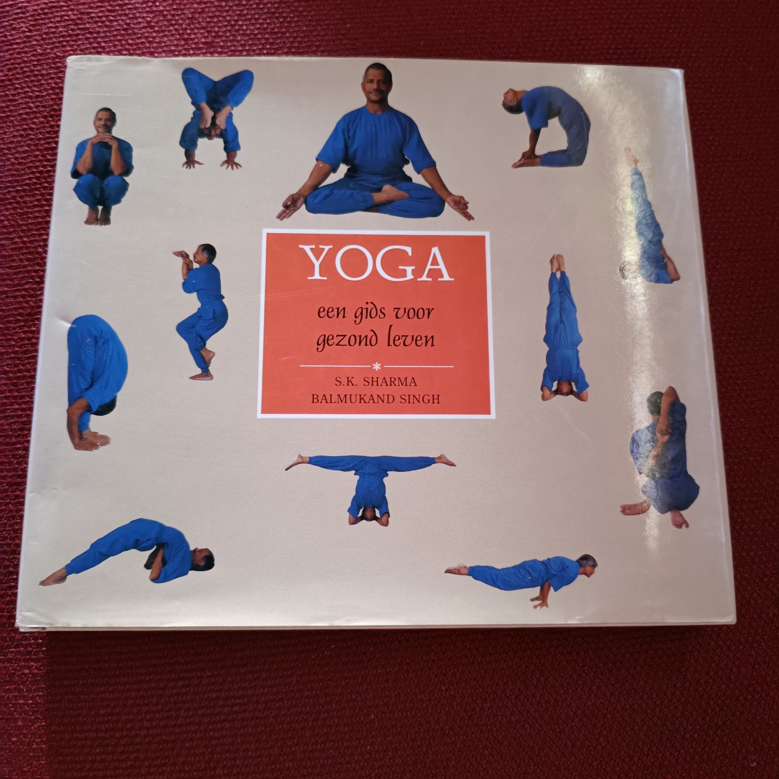 Yoga een gids voor een gezond leven, Boeken, Gezondheid, Dieet en Voeding, Ophalen of Verzenden