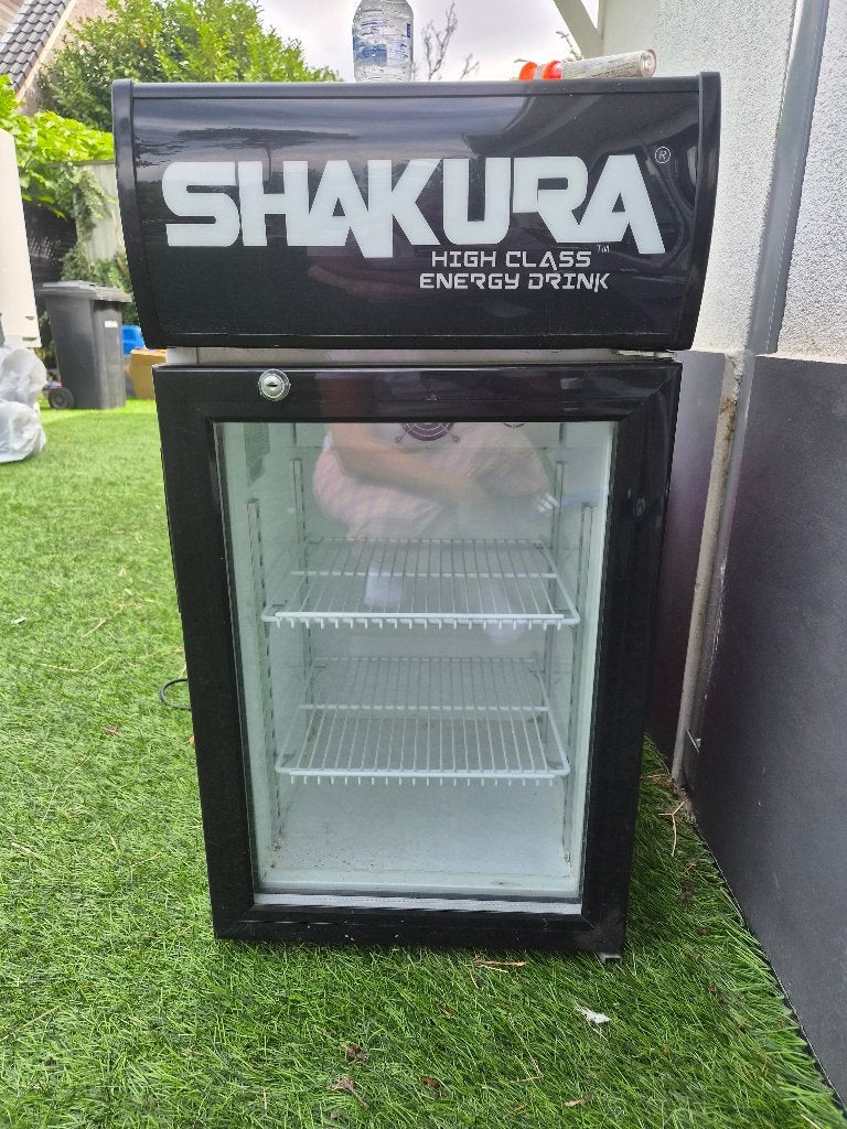 Mini frigo, Elektronische apparatuur, Koelkasten en IJskasten, Ophalen, Gebruikt, Zonder vriesvak