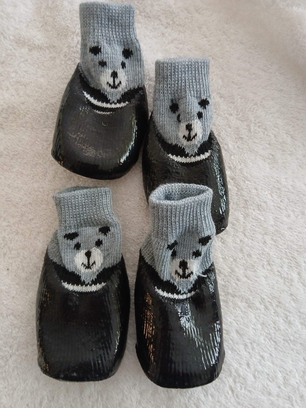 Schoentjes voor kleine hondjes, Dieren en Toebehoren, Ophalen