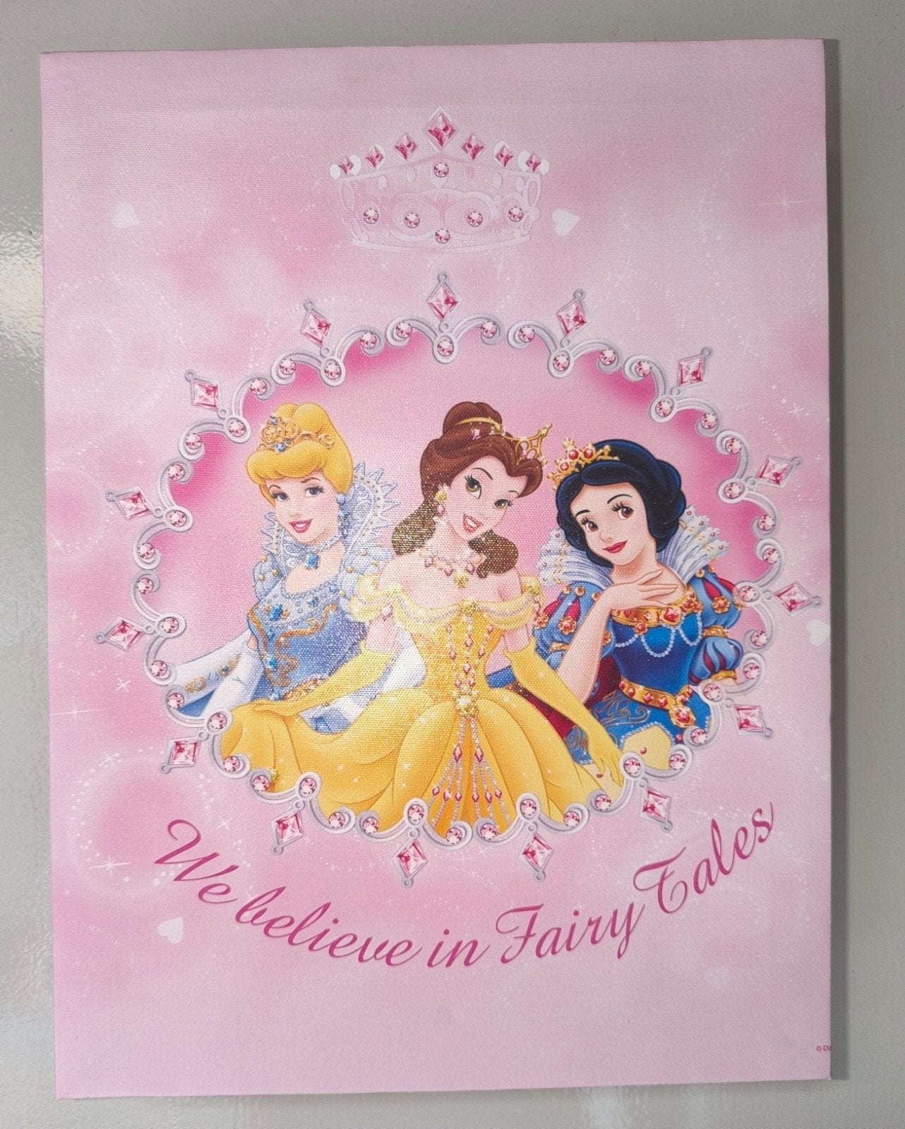 Cadre Princesses., Neuf, 40 cm, Enlèvement ou Envoi, 30 cm