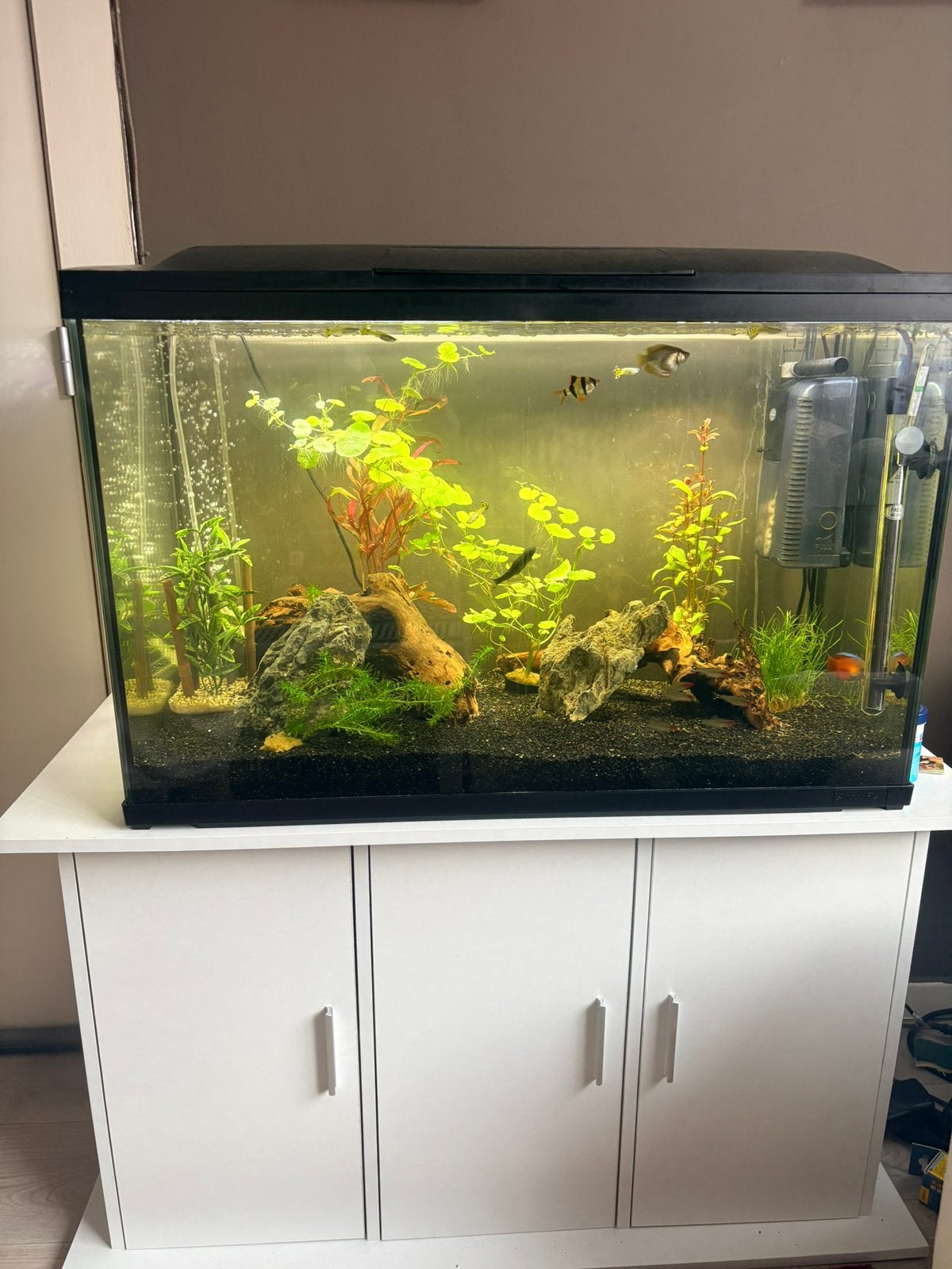 Aquarium 150L + armoire aquarium, Enlèvement, Pompe, Comme neuf