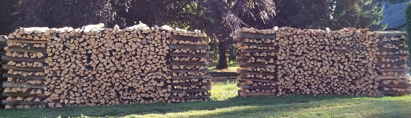A vendre, région Paliseul-Bertrix, 2 x 10 stères de hêtre, Enlèvement