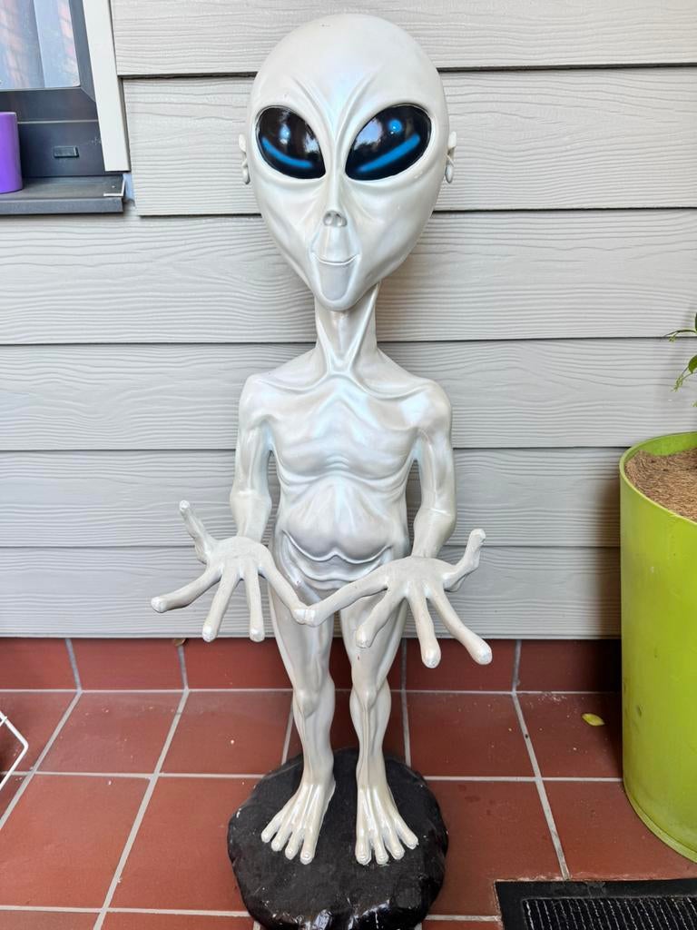 Alien the grey, Ophalen, Zo goed als nieuw