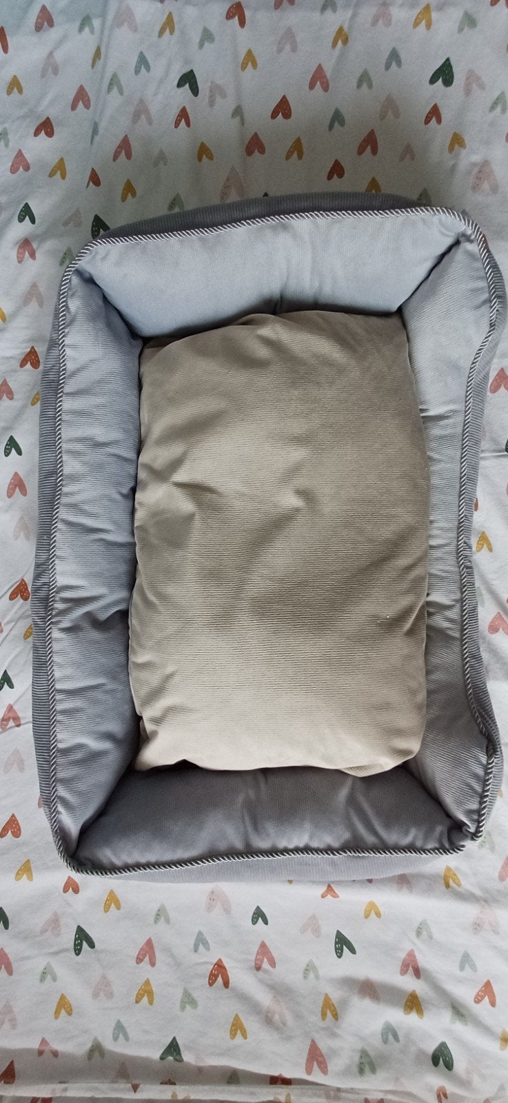 Honden/kattenbed, Animaux & Accessoires, Paniers pour chiens, Enlèvement ou Envoi, Utilisé, Poussière