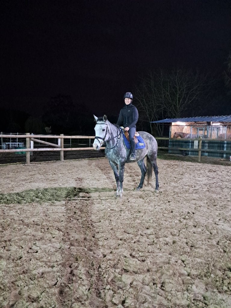 Dressuurpaard, fokmerrie, draagmerrie, project paard, Dieren en Toebehoren, Merrie, Met stamboom, Dressuurpaard, Zadelmak