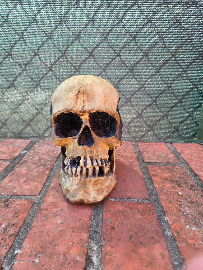 Décoration tête de mort, Enlèvement, Neuf, Autres types