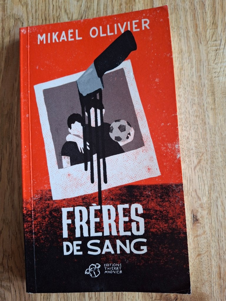 Schoolboek Frères de Sang, Livres, Enlèvement, Comme neuf, Secondaire, Français