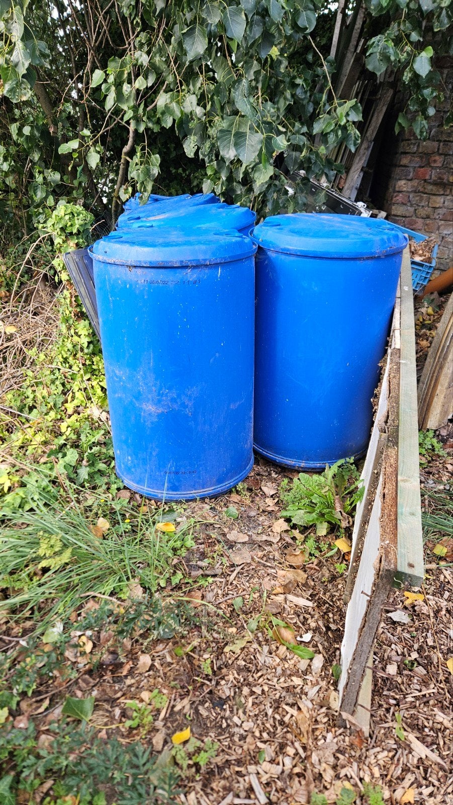 tonnen 200 liter, Jardin & Terrasse, Barils de pluie, 150 litres ou plus, Enlèvement, Utilisé, Synthétique