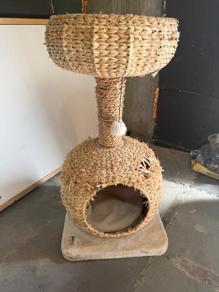 Arbre à chat à donner, Enlèvement, Utilisé, Griffoir