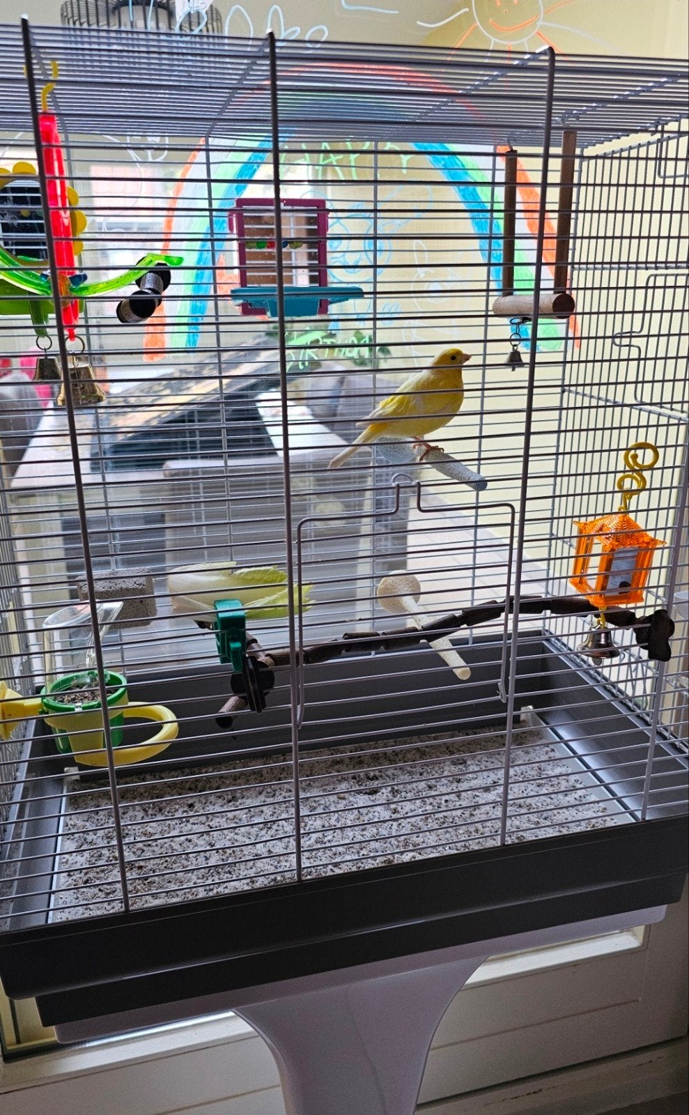 Vogelkooi op voet incl. accessoires en speeltjes, Animaux & Accessoires, Oiseaux | Cages & Volières, Cage à oiseaux, Enlèvement