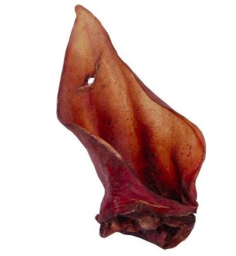 Varkensoren met pit, Enlèvement, Chien