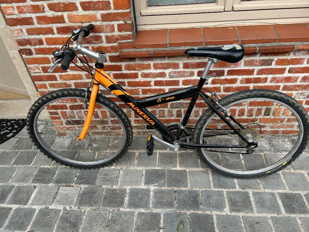 Mountain bike, Vélos & Vélomoteurs, Vélos | VTT & Mountainbikes, Enlèvement, Utilisé, Autres marques
