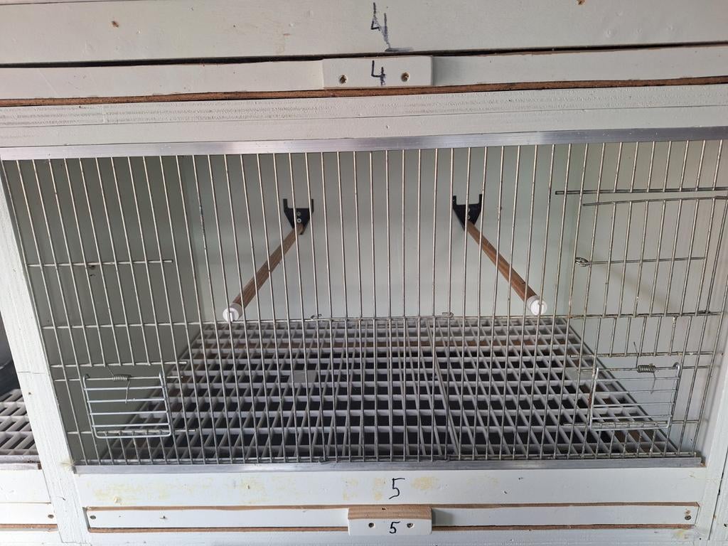 Kweekkooien met ledverlichting, Dieren en Toebehoren, Vogels | Overige Vogels