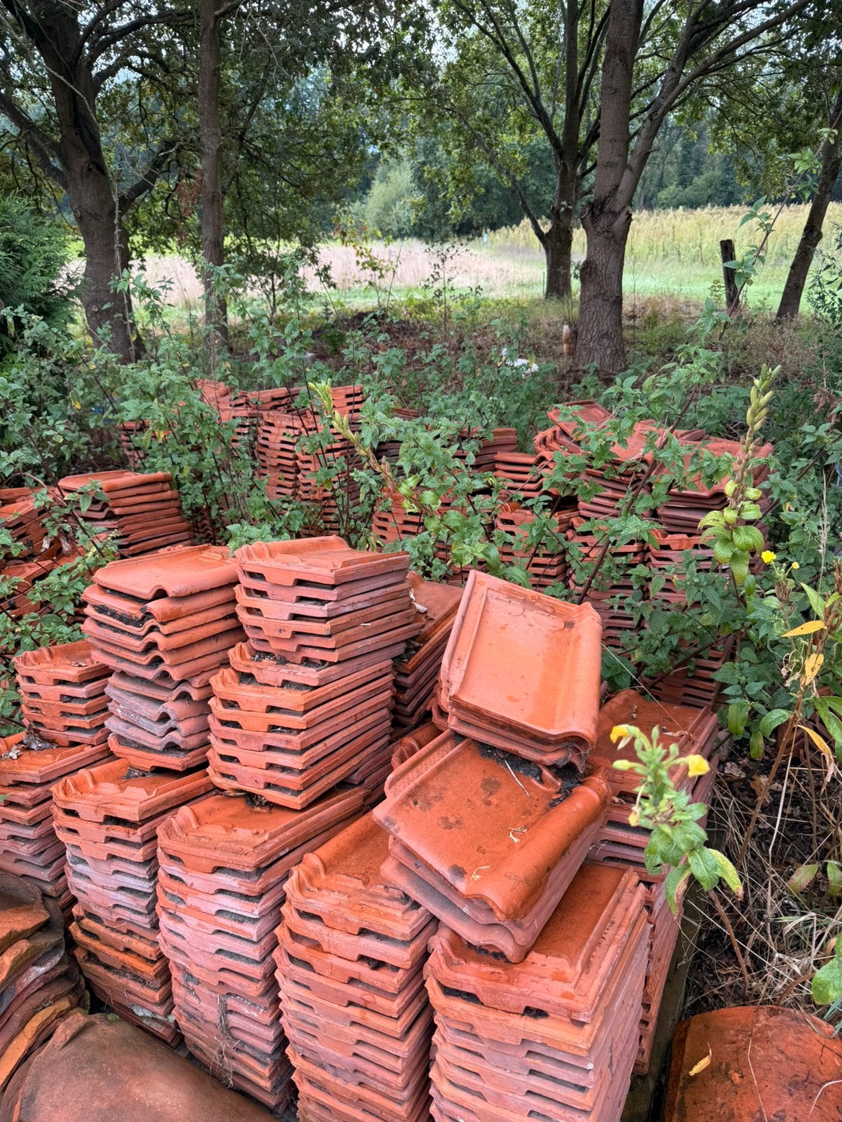 2.200 oude Pottelberg dakpannen – recuperatie – 30  21 cm, Doe-het-zelf en Bouw, Ophalen, Zo goed als nieuw, Dakpannen