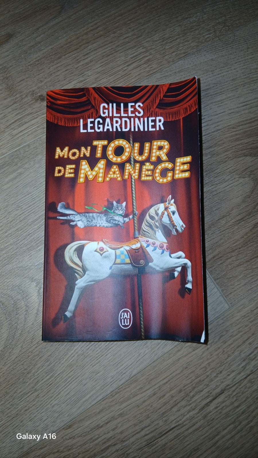 Mon Tour De Manège, Ophalen, Gelezen