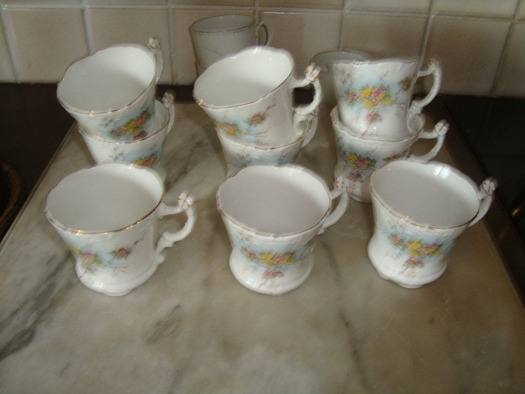 9 Tasses Jugendstil en porcelaine Altwasser. CT., Enlèvement