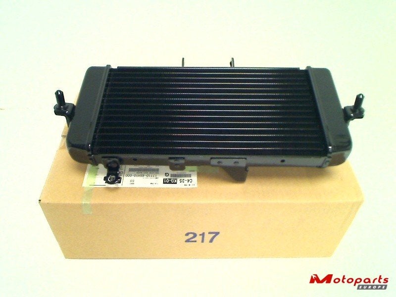 Suzuki Radiateur GW 250 Inazuma 2013-2017, Ophalen of Verzenden, Nieuw