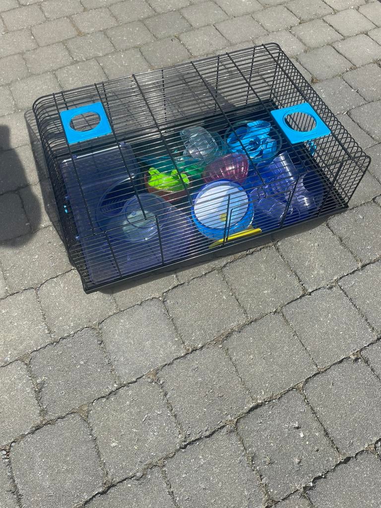 Hamsterkooi, Dieren en Toebehoren, Ophalen, Zo goed als nieuw, Kooi, Hamster