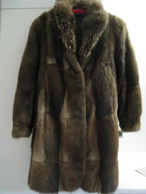 Jas, mantel, dames, pels, canadese muskus, maat 38, Kleding | Dames, Ophalen, Maat 38/40 (M)