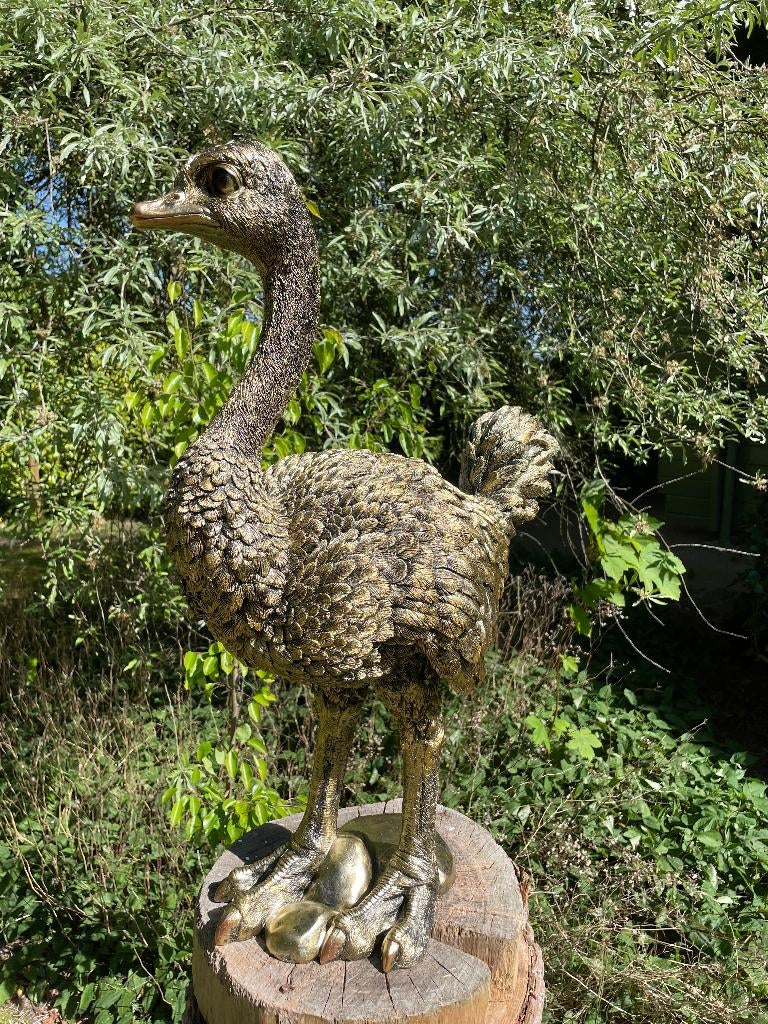 Beeld Struisvogel middel, gazon, tuin, dierentuin 70cm, Tuin en Terras, Tuinbeelden, Nieuw, Dierenbeeld, Kunststof, Ophalen