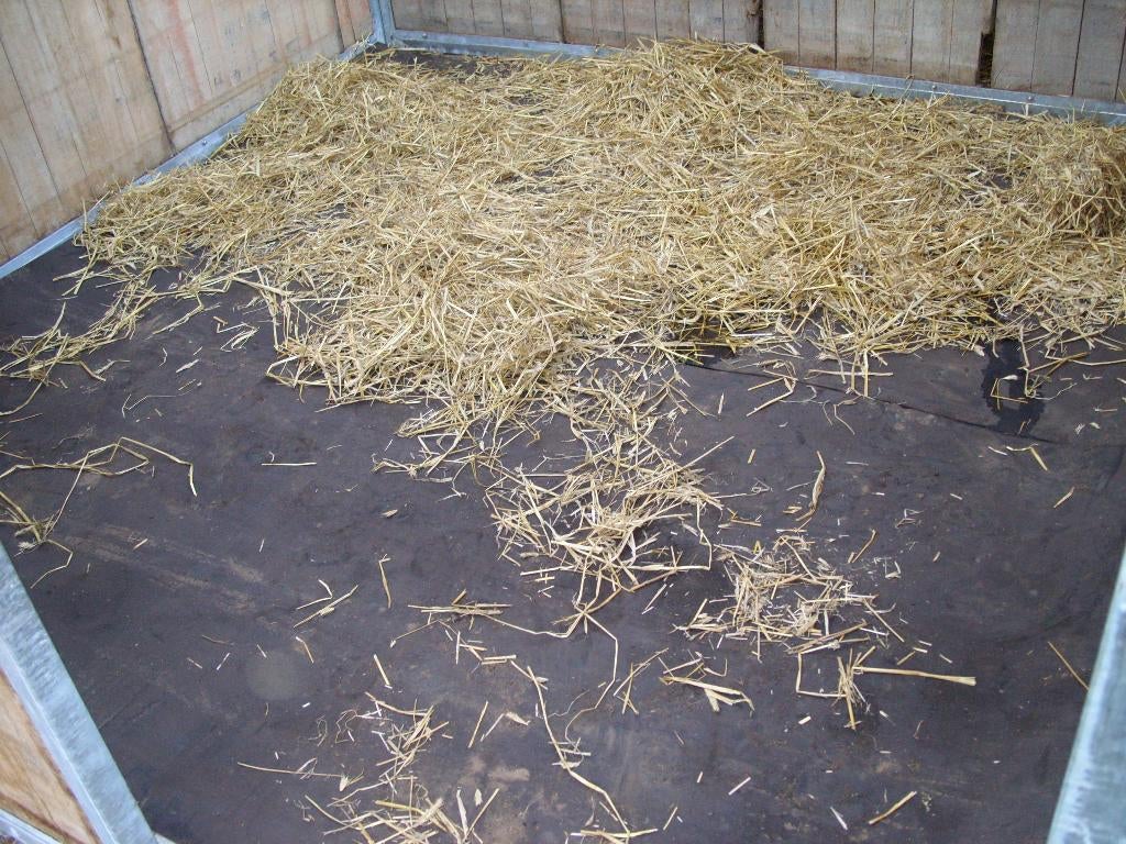 stalmatten, Dieren en Toebehoren, Weidegang