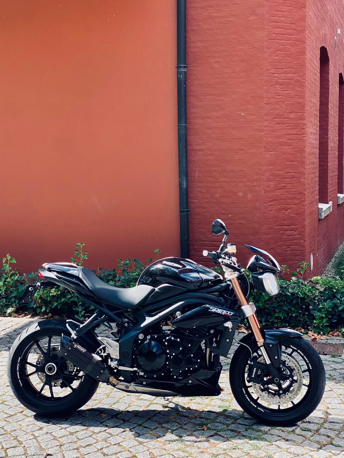 Triumph Speed Triple 1050 ABS, Particulier, ABS