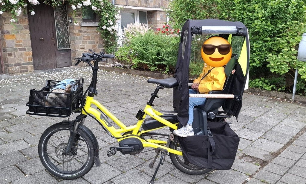 Vélo électrique TERN HDS P9, Vélos & Vélomoteurs, Vélos électriques, Utilisé, Autres marques, Enlèvement