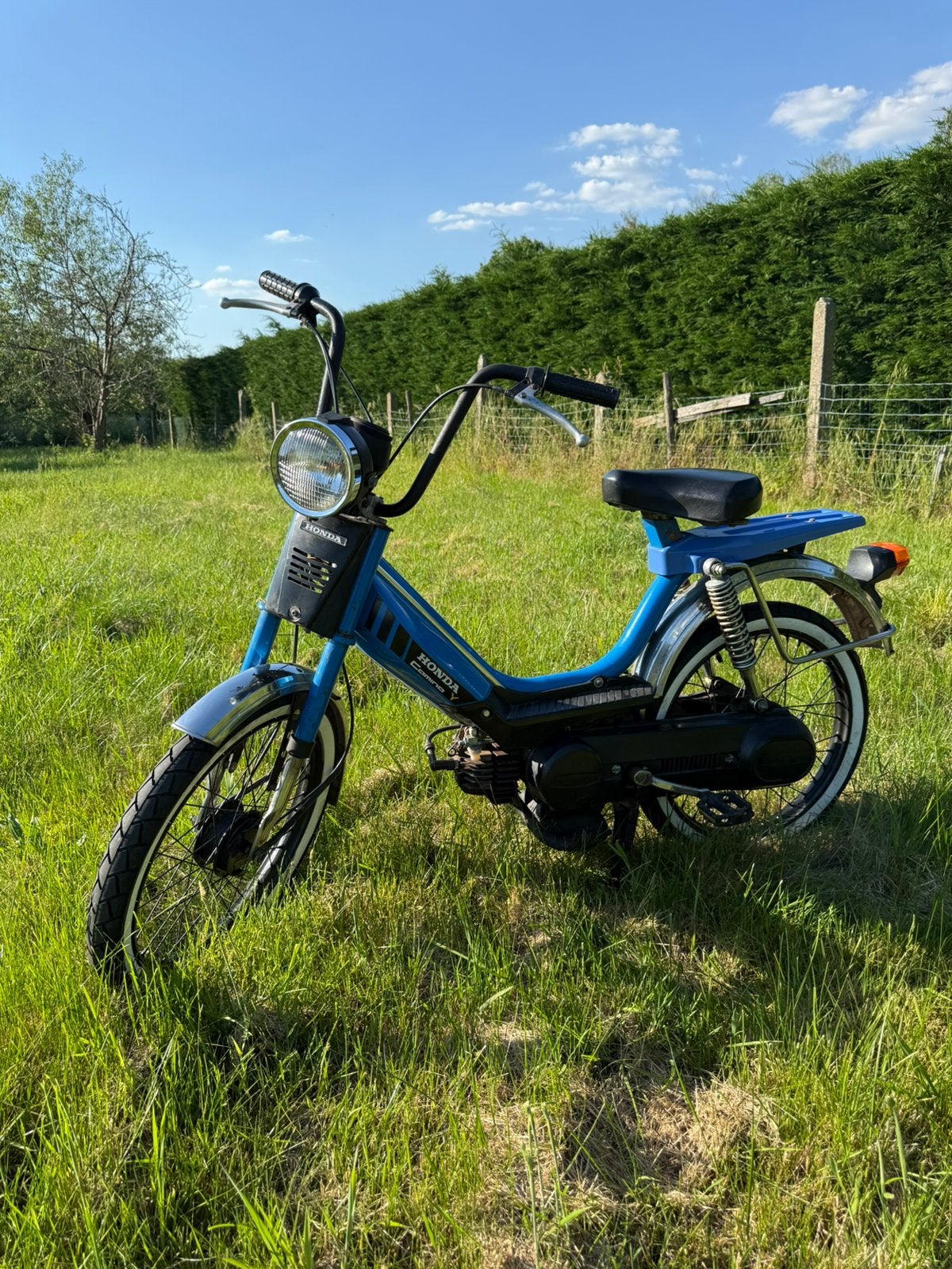 Honda Camino Sport Classe B Vario, Enlèvement, Utilisé