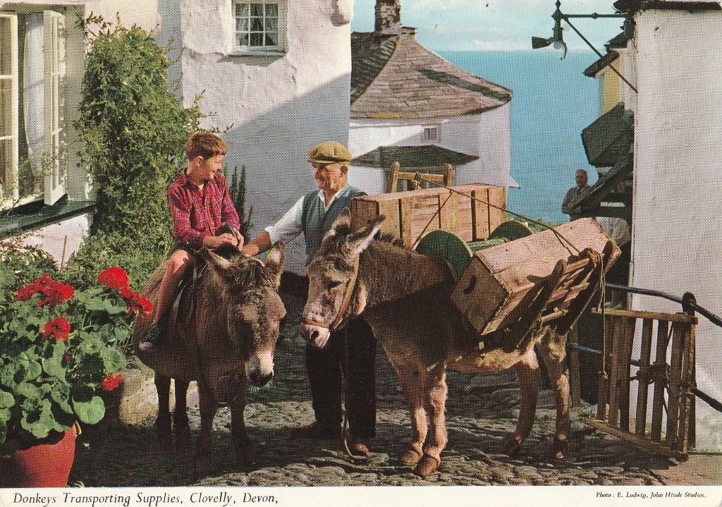 EZELS  ALS  LASTDIEREN  IN  CLOVELLY  , DEVON, Collections, Cartes postales | Animaux, Envoi, Non affranchie, Autres