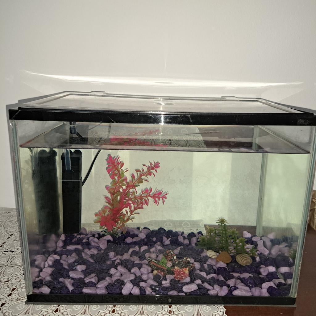 Compleet aquarium 40×25×28cm, Ophalen