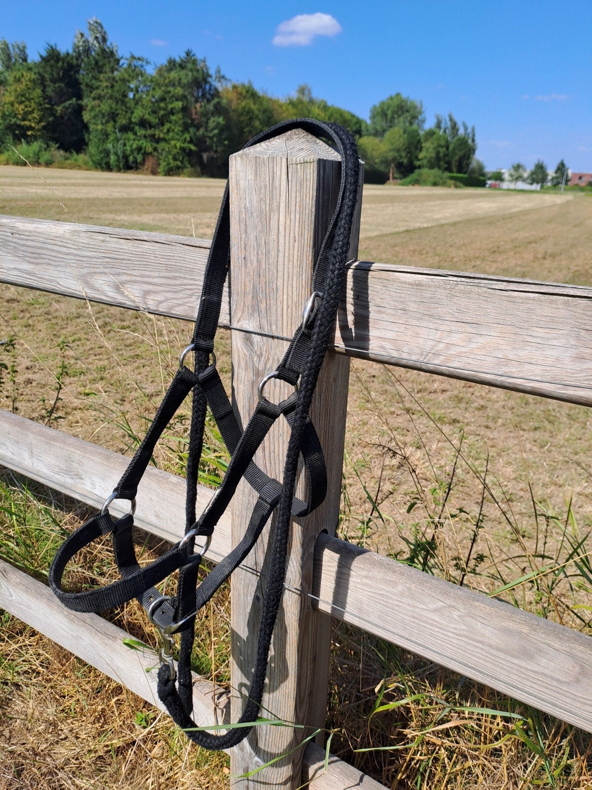 halster + touw zwart, maat cob, Dieren en Toebehoren, Ophalen, Gebruikt, Zwart, Halster