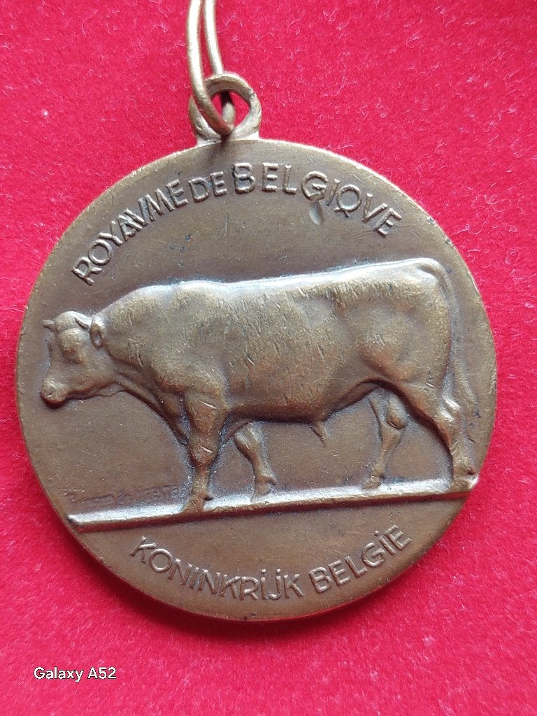 bronzen medaille, Ministerie van Landbuw België 1962, Ophalen of Verzenden, Brons