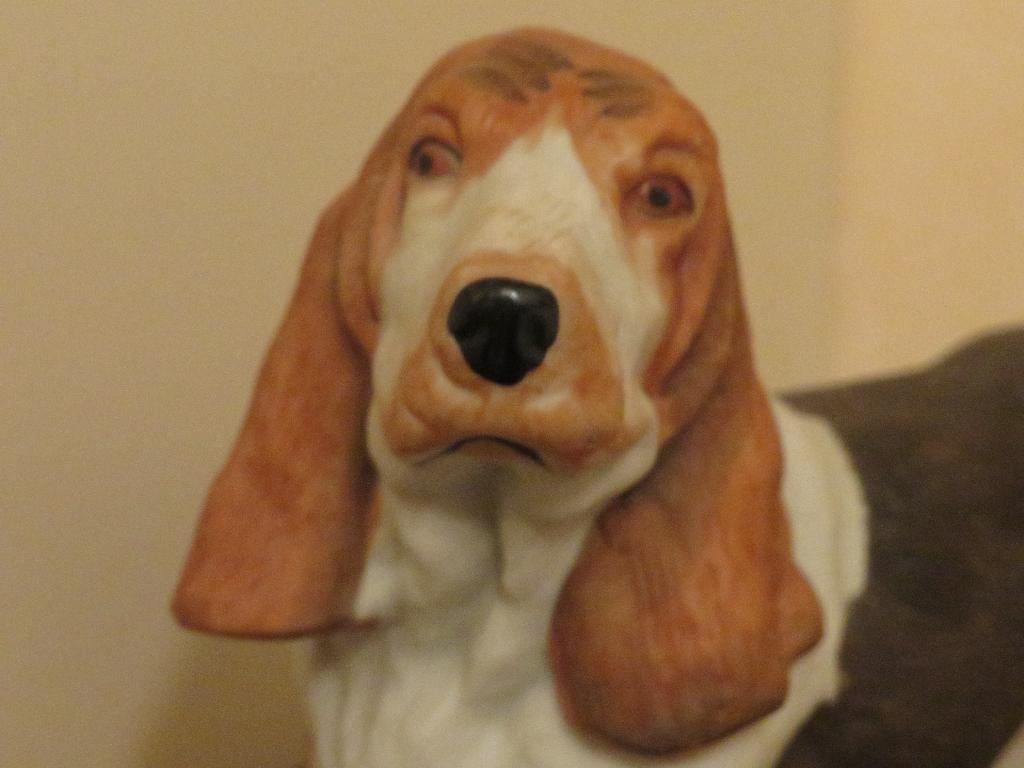Beeld hond, Ophalen