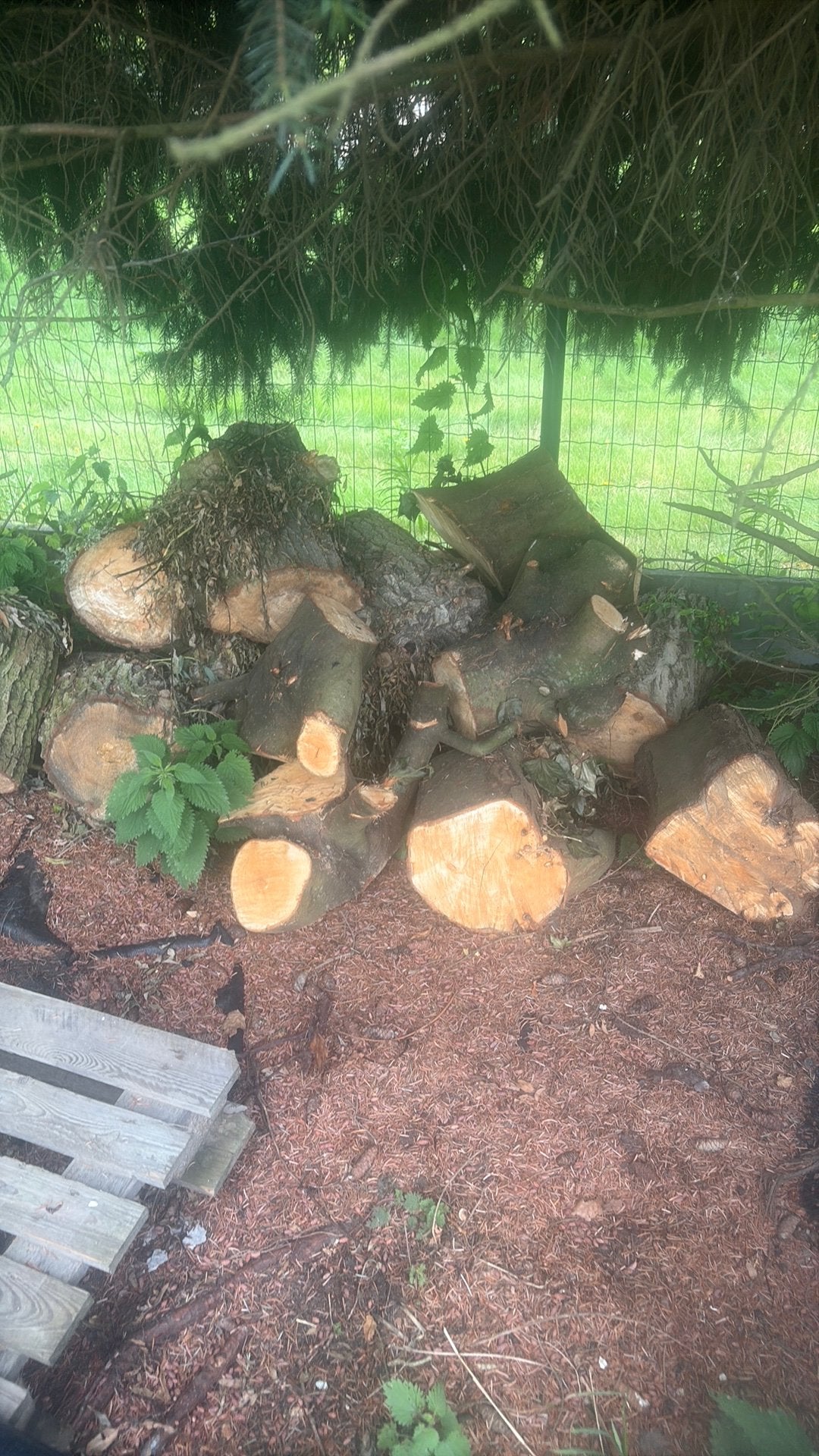 Hout 2kuub