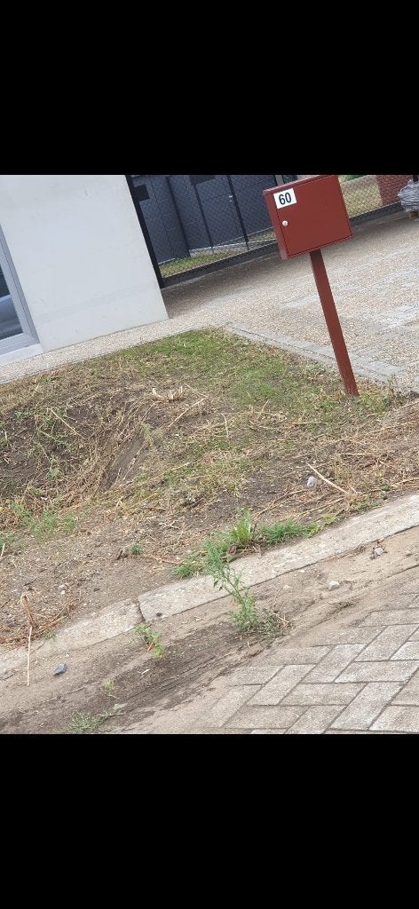 Brievenbus met nummer 60, Ophalen, Nieuw, Staande brievenbus