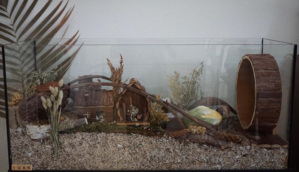 Terrarium 80x40x40 zonder schuifruiten, Animaux & Accessoires, Rongeurs & Lapins | Cages & Clapiers, Neuf, Niche, Moins de 60 cm