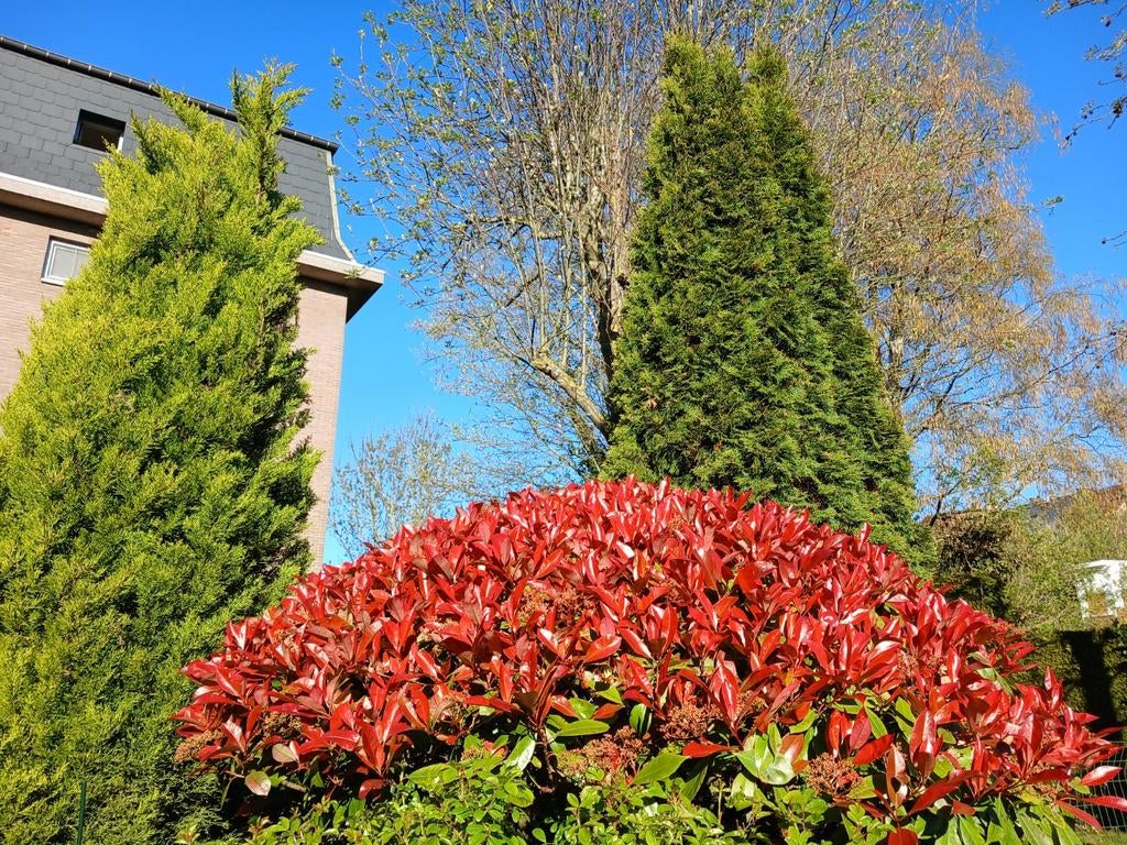 Jardinier, Enlèvement ou Envoi