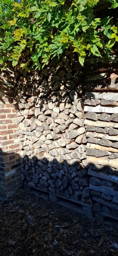 brandhout, 6 m³ ou plus, Enlèvement, Autres essences de bois, Bûches