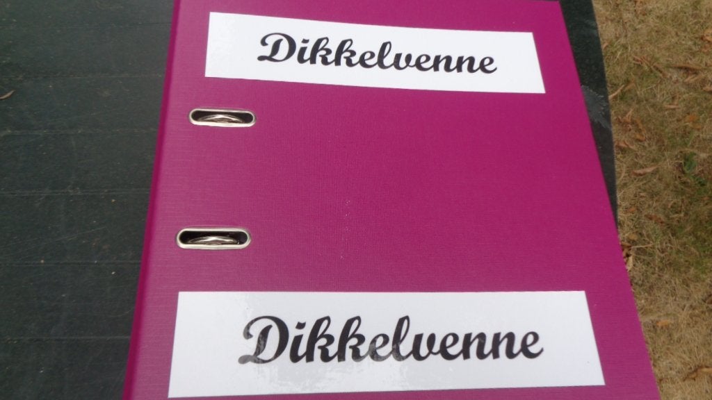 Dikkelvenne Archief, Verzamelen, Ophalen of Verzenden, 1960 tot 1980, Gelopen, Oost-Vlaanderen