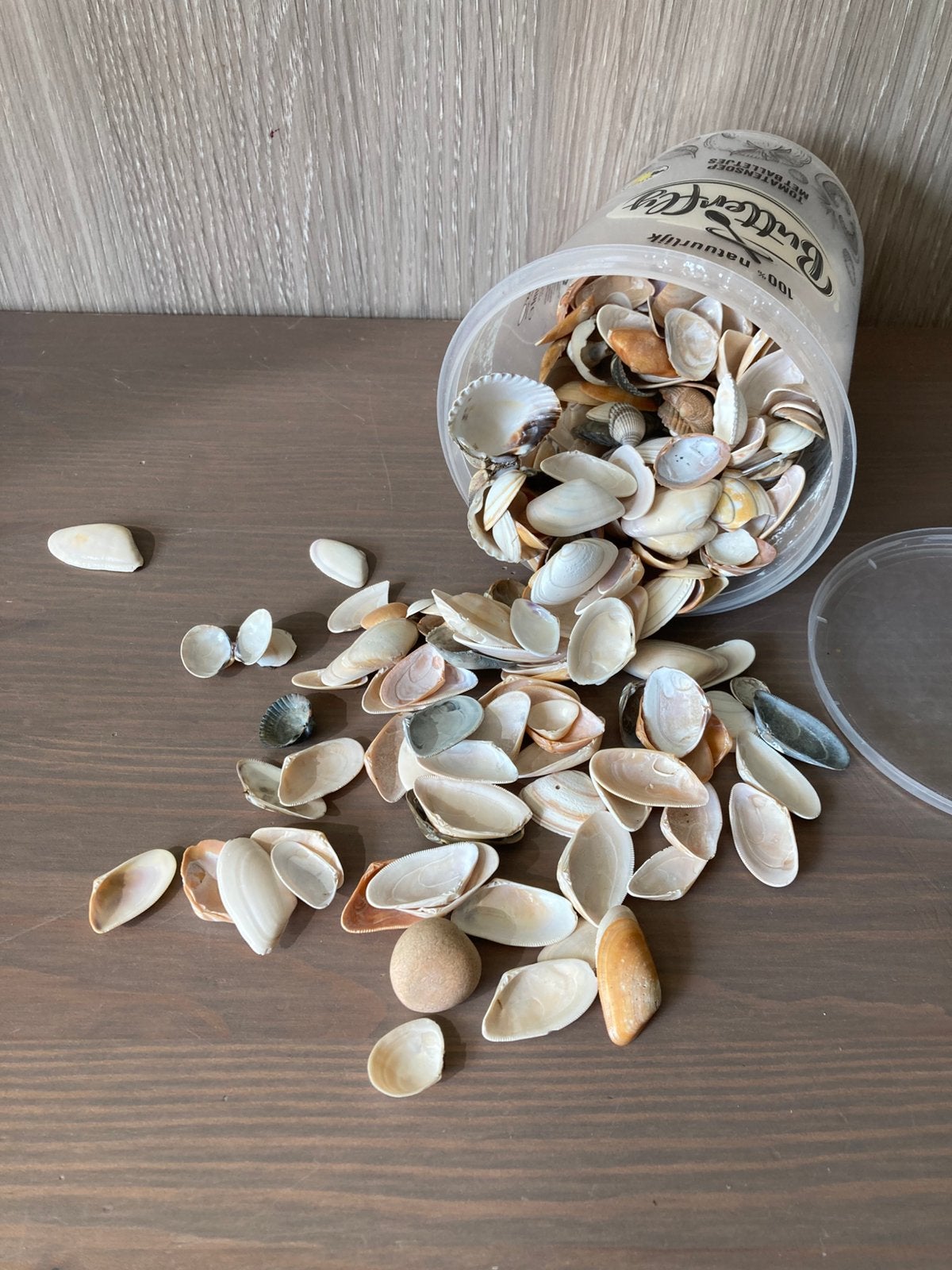 Pot schelpjes vnl couteaux - gratis, Ophalen, Natuurlijk materiaal